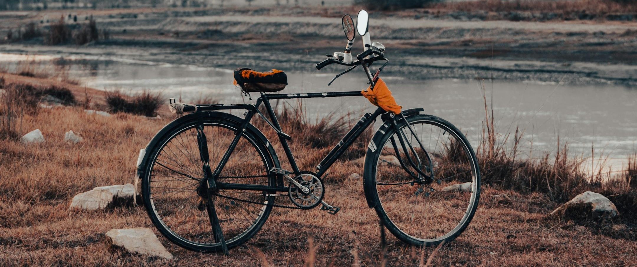 Trek standing bike