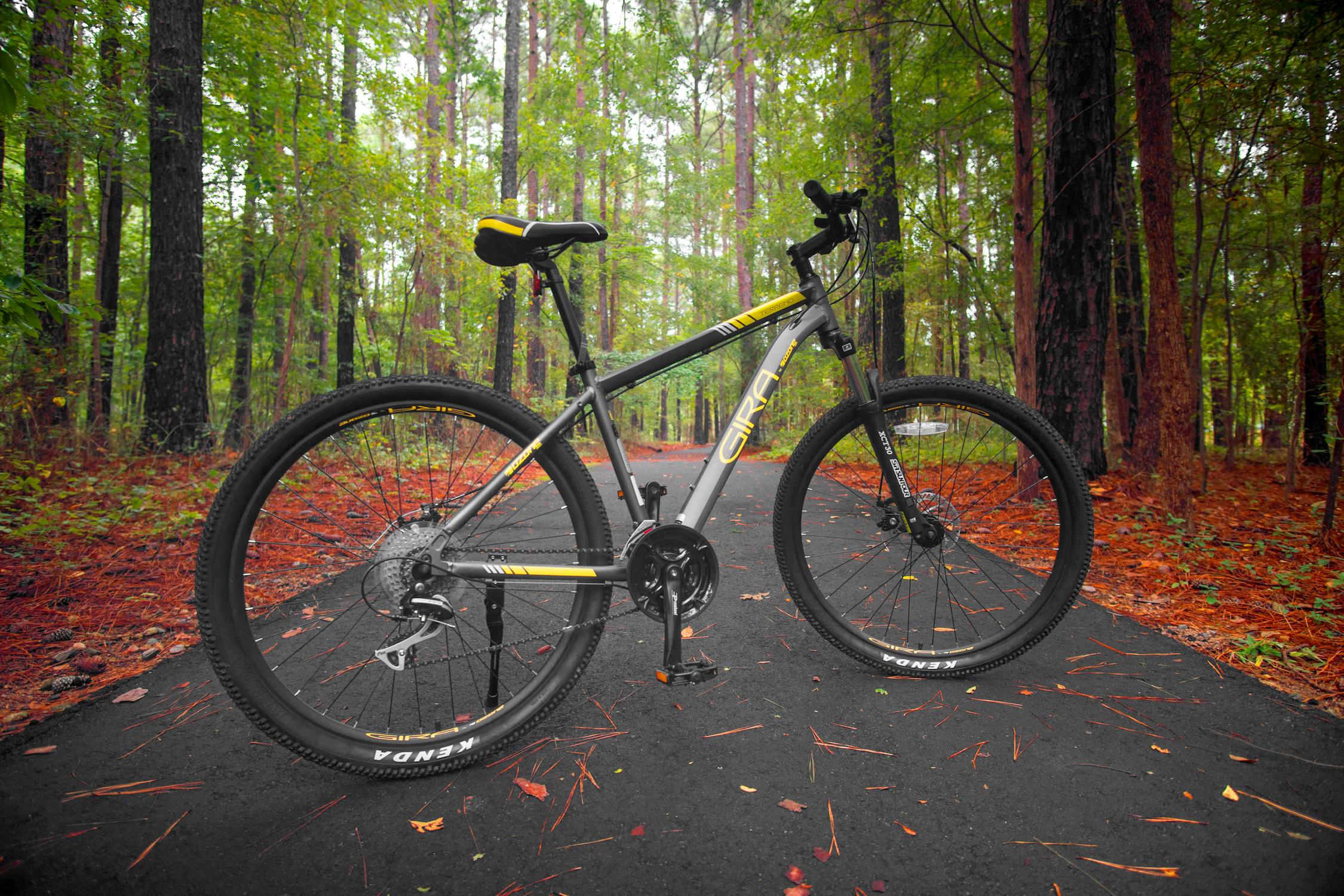 Forme standing bike
