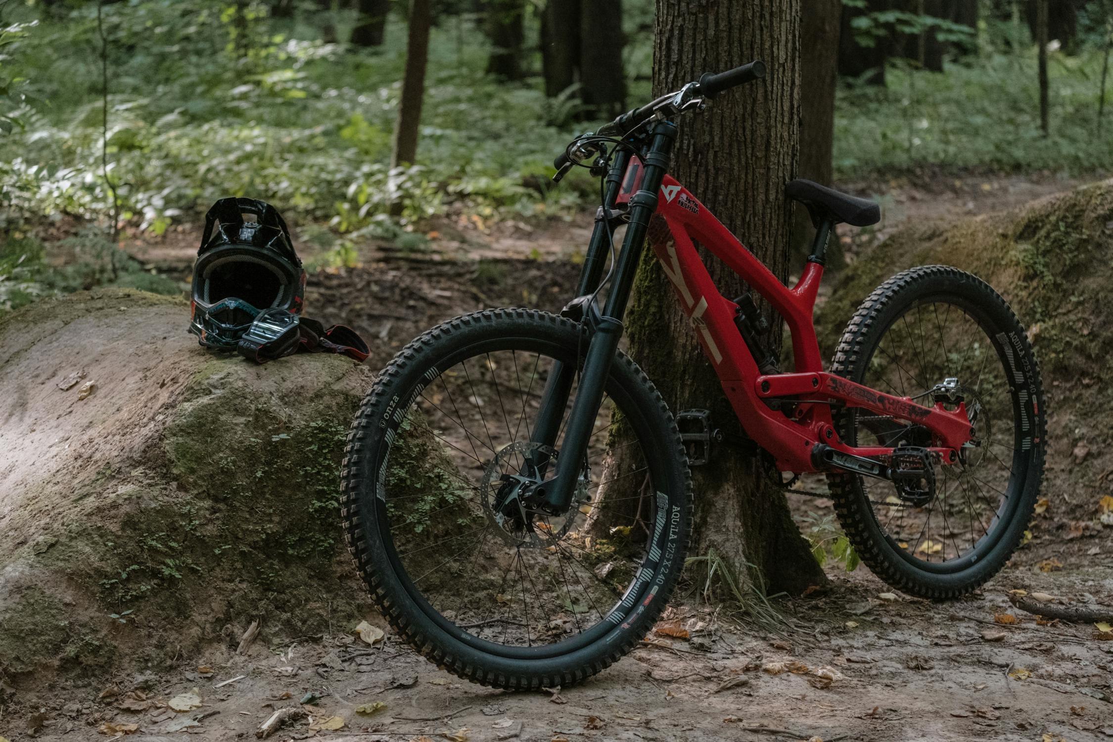 Tweed Valley bike trail