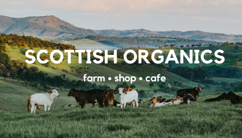 Cows in Field, scottish organics, farm, shop, cafe