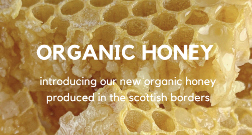 Organic Honey