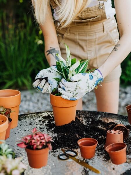 Planting soil