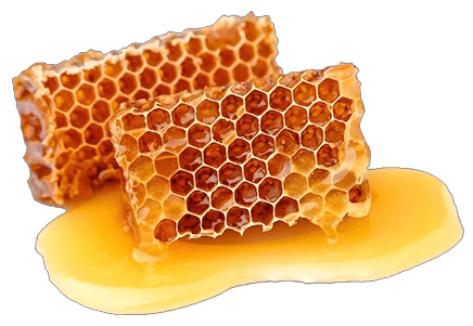 Honeycomb